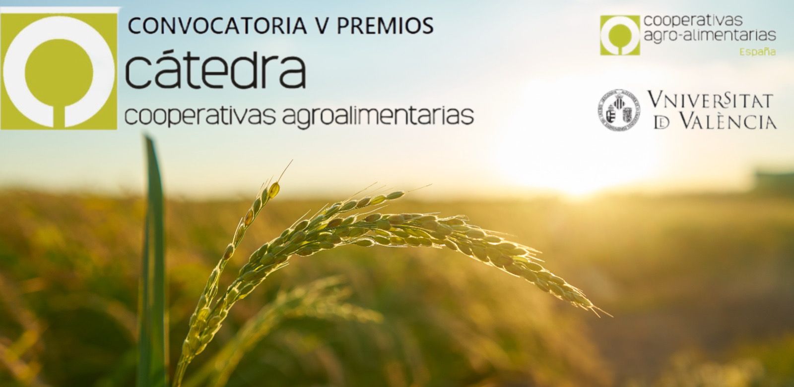 Convocatoria para los V Premios de la Cátedra de Cooperativas Agroalimentarias